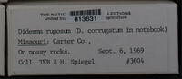 Image Associated With the Occurence